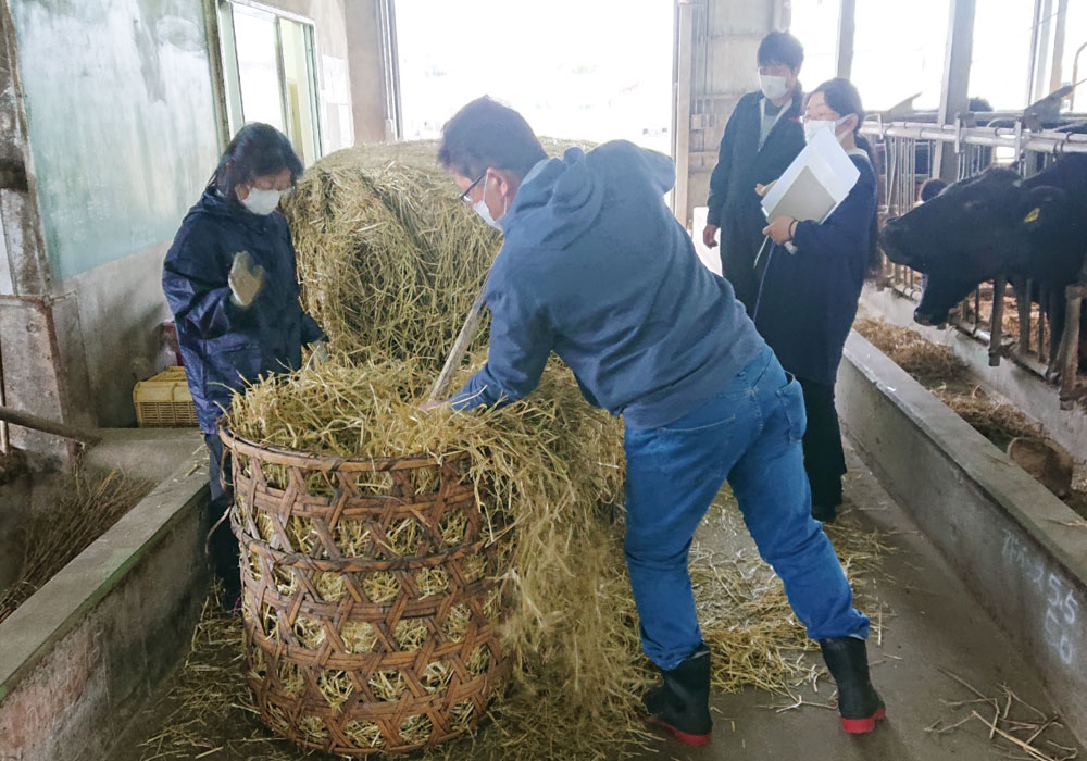 祝◆就職内定のお知らせ・画像
